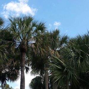 Meet your Posher, Audra